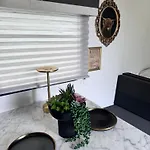 Cozy Rv Trailer